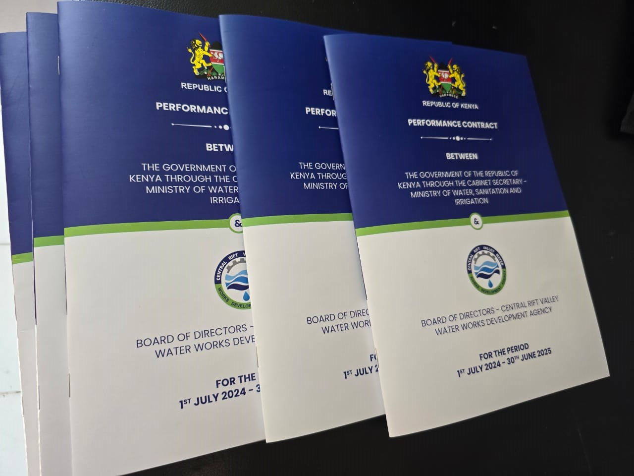 Print & Publication Design - Mario Designs